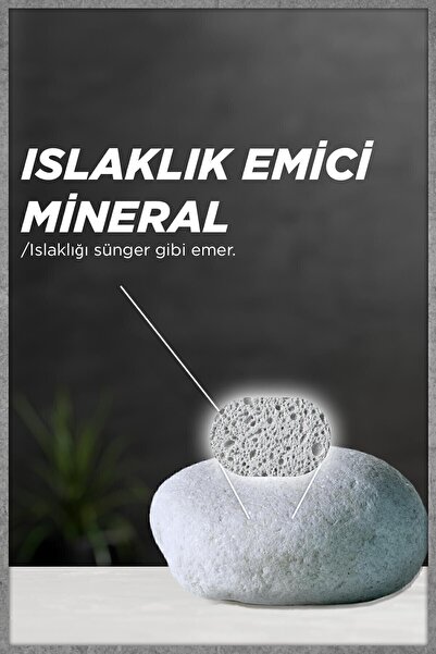 Garnier MEN LEKESİZ KORUMA ROLL ON DEODORANT 50 ML-