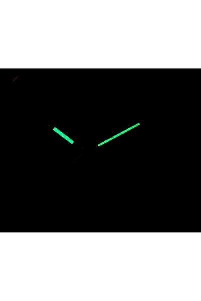 Citizen Ceas Dama, Citizen, Basic EU6002-51P