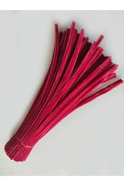 hyc heryerçiçeklenir 100 Pieces of Coral Red Chenille, Feathered Wire Suitabl...