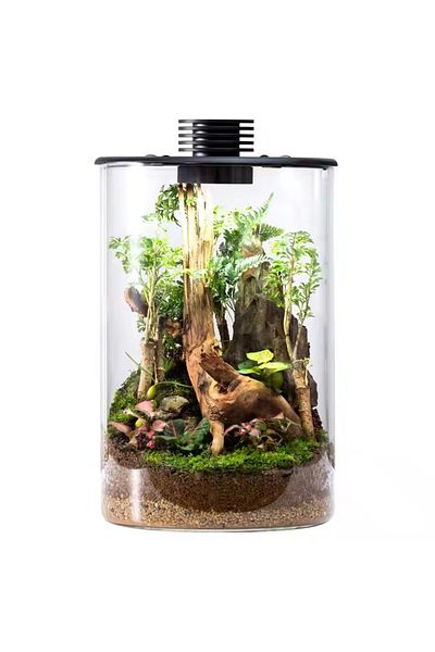 OEM Glass terrarium ZD-150