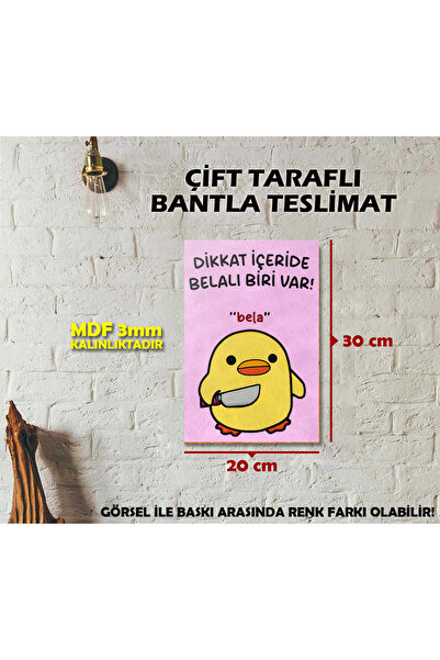 Borambalaj Belalı Civciv Mizah Posteri (20x30cm)