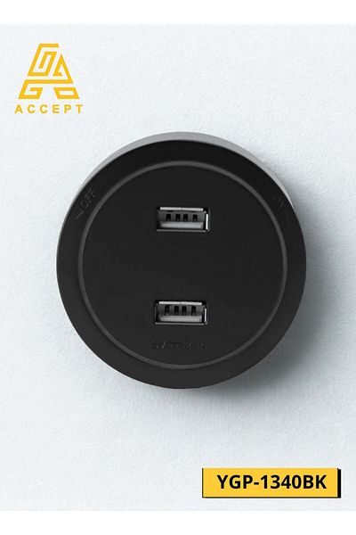 ACCEPT Socket 10 Amp 2X USB compatible with electrical tracks