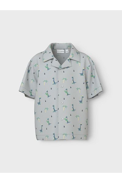 name ıt Shirt Dinosaur Gray