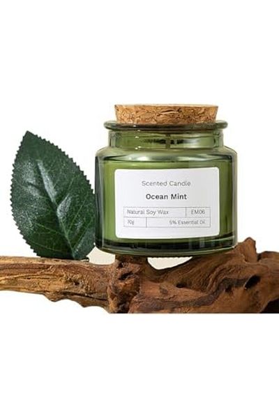 Generic L&wen Scented Candles, Long Lasting Strong Fragrance Aromatherapy Candles, 70g (OCEAN MINT)
