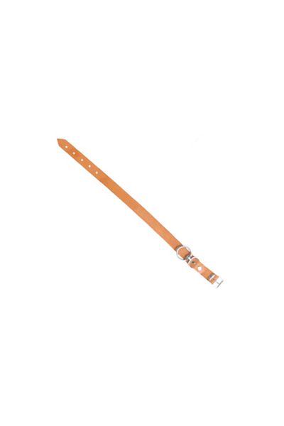 flores Zgarda caine din piele + pasla, nr 865,2.5 cm x 80 cm
