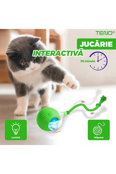 Teno Teno® Smart Interactive Cat Toy, indoor, with LED lights, stimulates animals, green
