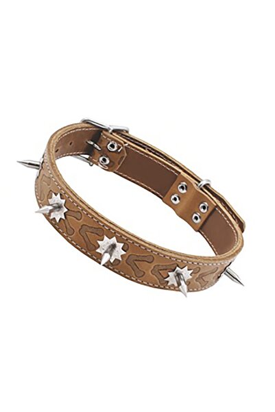 flores Δερμάτινο κολάρο σκύλου, με καρφί, N-750, 35 x 750 mm