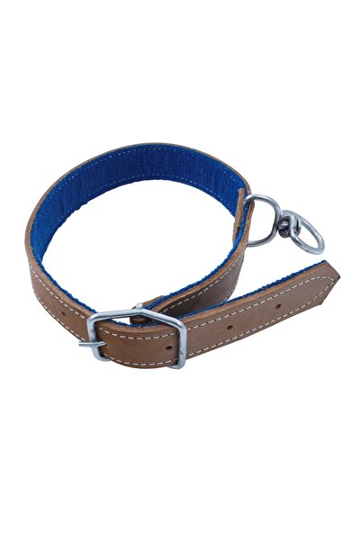 flores Zgarda caine piele + sintetic, maro, nr. 1431, 4 cm x 70 cm