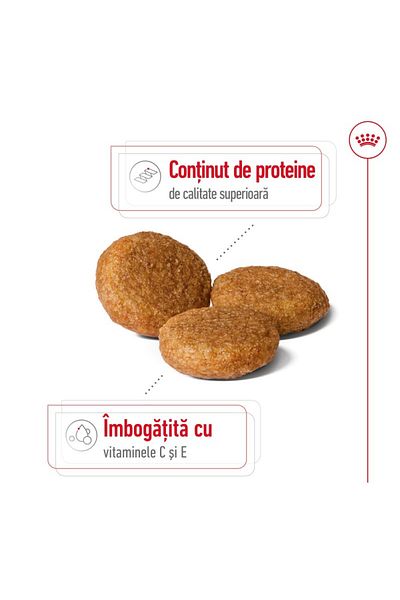 Royal Canin Hrană uscată Royal Canin Medium Adult pentru câini de talie medie, 15 kg + 3 kg gratuit