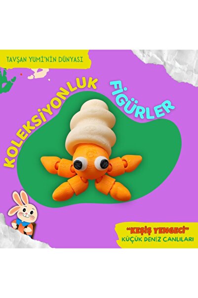 Tavşan Yumi Küçük Deniz Canlıları Koleksiyonu - 4 Parça Hareketli Oyuncaklar ve Bilgilendirici Kartlar