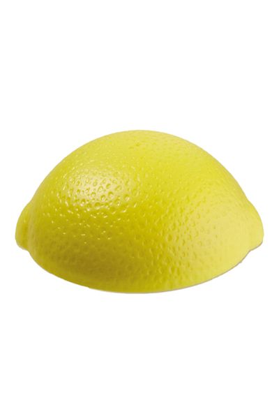 Snips Dishwasher Safe Lightweight BPA Free Durable Plastic Lemon Keeper