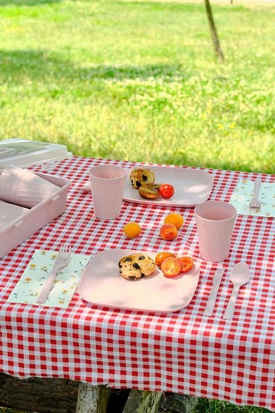 Karaca Container Rocca 32 Piece Picnic Set Pink