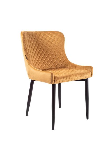 rexa Armchair Accent– Modern Indoor Seating for Home or Office