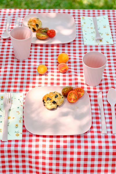 Karaca Container Rocca 32 Piece Picnic Set Pink