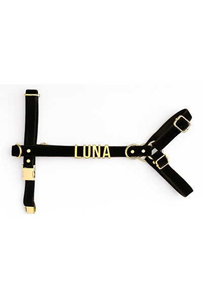 Pawsim Kişiye Özel Isimli H Model Ayarlanabilir Kadife Köpek Göğüs Tasması + Gezdirme Kayışı Set AÇIK MAVİ