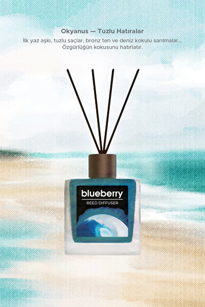 Blueberry Ocean Oda Kokusu  100 ml BBCN000706