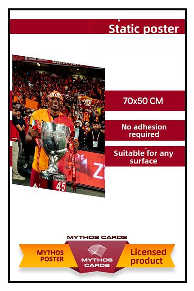 Galatasaray Static Poster - Model 6