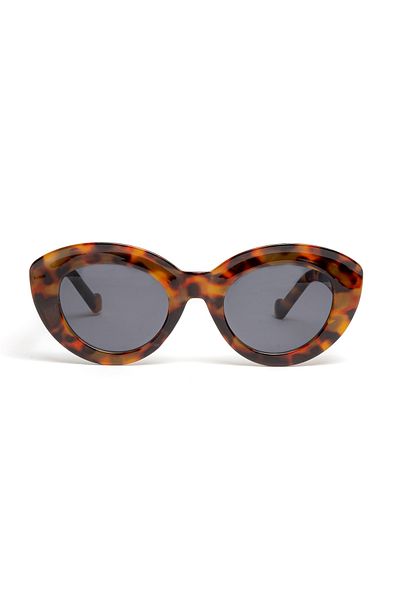 Sunbas Sunglasses Ipanema Tortoise Light Black Sunglasses For Men And Women