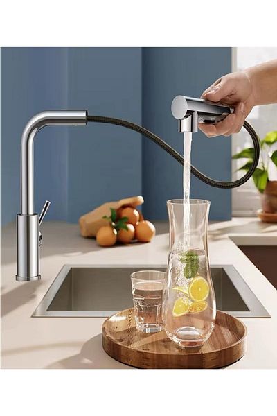 RENA DESIGN Chrome Spiral Mountain Bath Battery Double Mode Pull-And-Let Extending Head Princeton Body Kitchen Faucet