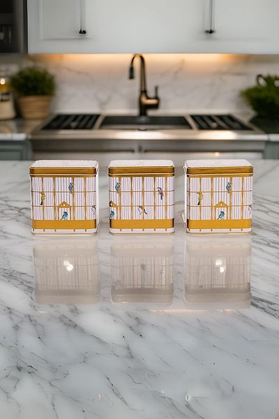 EVLE Erb36T7 Rectangular Storage Container 8 X 12 X 12 Cm, Set of 3, Bird Cage