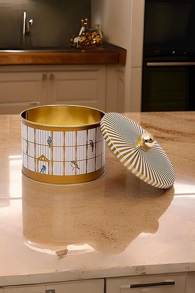 EVLE Metal Multi-Purpose Textured Storage Container, Decorative Storage Box 14 Cm, Bird Cage Er141-t7