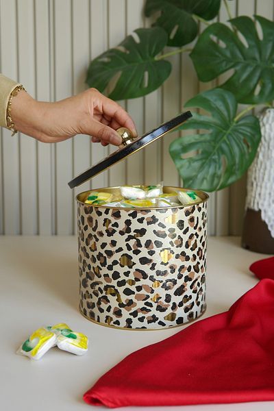 EVLE Leo Patterned Food Storage Container - Metal Storage Container 17.5 Cm X 15.5 Cm Er146-v4