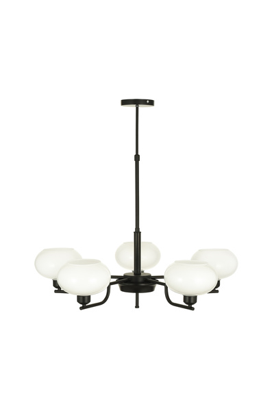 Avizemoda Vanna 5 li Beyaz Camlı Salon Oturma Odası Modern Sarkıt Avize - (Siyah)
