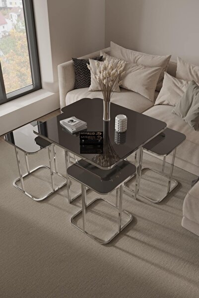 home plus mobilya 5'li Radüslü Gümüş Kaplama Füme Aynalı Orta Sehpa & Zigon S...
