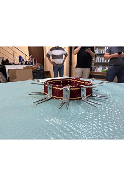 tpz büyük ırk kangal malaklı köpek tasma