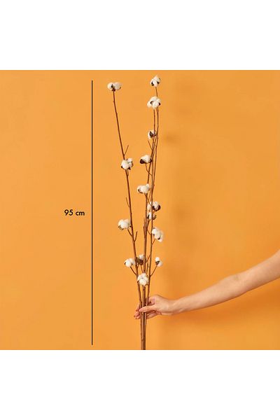Bella Maison Μπουκέτο από βαμβακερά κλαδιά 4 τεμαχίων (95 cm)