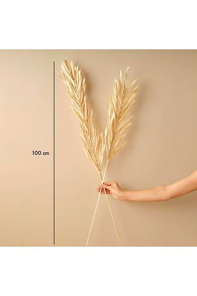 Bella Maison Φυσικό Μπουκέτο Κλαδιών Λίνδης Φυσικό (100 cm)