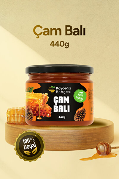 Köyceğiz Bahçesi Organik Çam Balı - 440gr