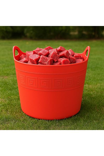 Saban Sacrificial Bucket, Dirty and Toy Basket Stretchable Feature 42 Lt (Pink)