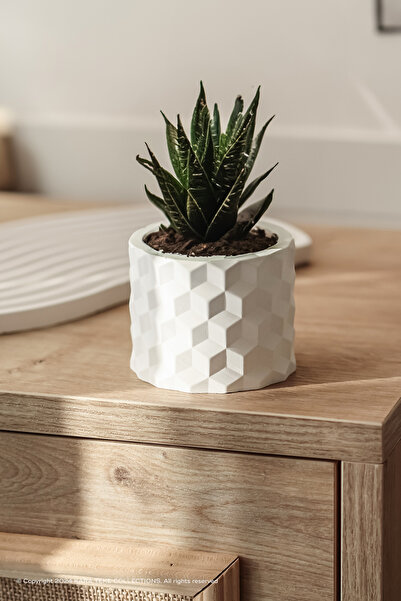 Modern, Stylish and Decorative Polygon Patterned Concrete Succulent Pot (BEIGE - OFF-WHITE)