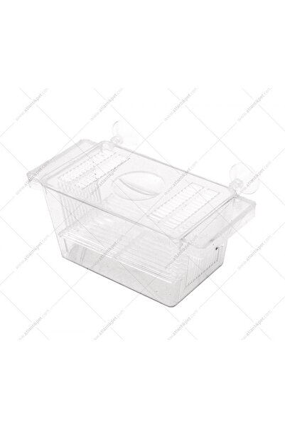 ATLANTİK جرو كريستال أتلانتيك واحد