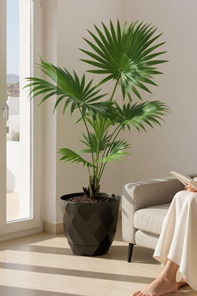 TEMMUZ HOME 9.2 Litre Dekoratif Prizma Desenli Büyük Boy Tabaklı Plastik Saks...