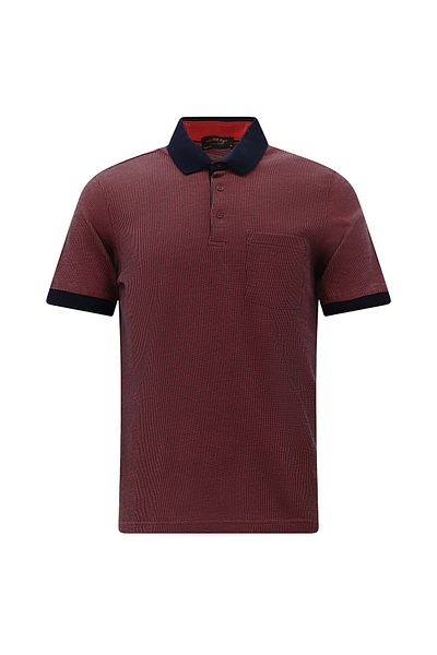 Abdullah Kiğılı Polo Neck Regular Fit Patterned Cotton T-Shirt