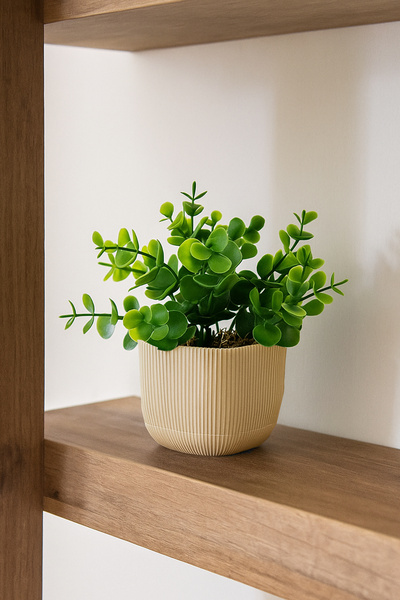 ALSHOP نبات خشب البقس الاصطناعي في وعاء صغير مع طحلب حجري حقيقي إجمالي 16 سم زهرة طاولة المطبخ والحمام