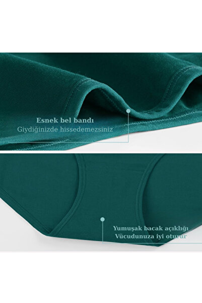 BEGATEKS Ψηλόμεσο Hipster Σλιπ 6 Συσκευασία