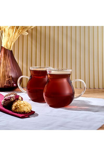 Perotti 350 ml Capacity 2-Piece Ala Glass Cup