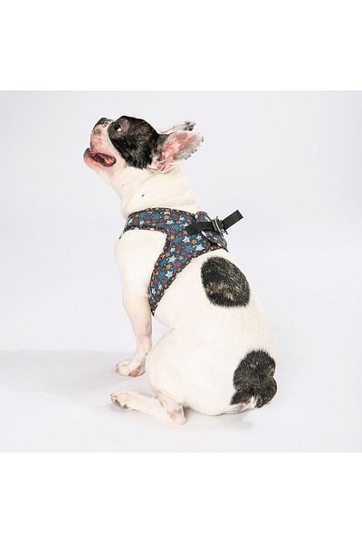 Pawstar طوق صدر للكلاب والقطط من Stallae Air-mesh