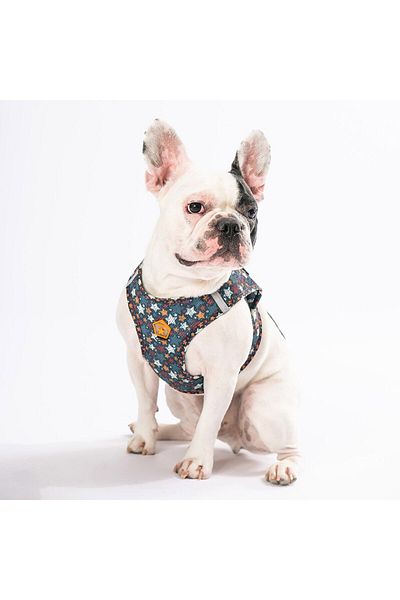 Pawstar طوق صدر للكلاب والقطط من Stallae Air-mesh