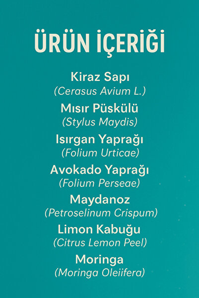 Nutripure Puredefine Definitive Detoks Tea 21 Days