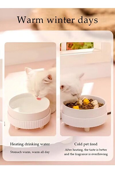 Generic Heated Cat Bowl Outdoor Heated Pet Bowl With Cat Ceramic Bowl Heated Water And Food Bowl Size M