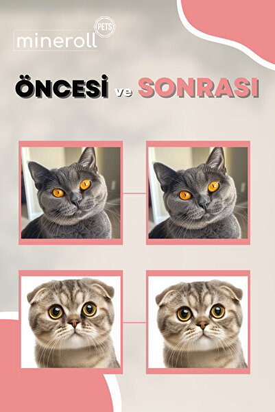 Mineroll Pets Kedi Göz Temizleme Mendili, British Shorthair Ve Scottish Fold Için, Serum Fizyolojik, 100 Adet