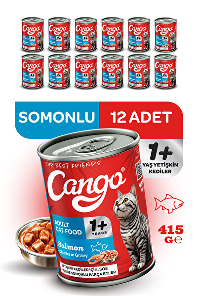 Cango Yetişkin Yaş Kedi Maması Somonlu 415gr 12li
