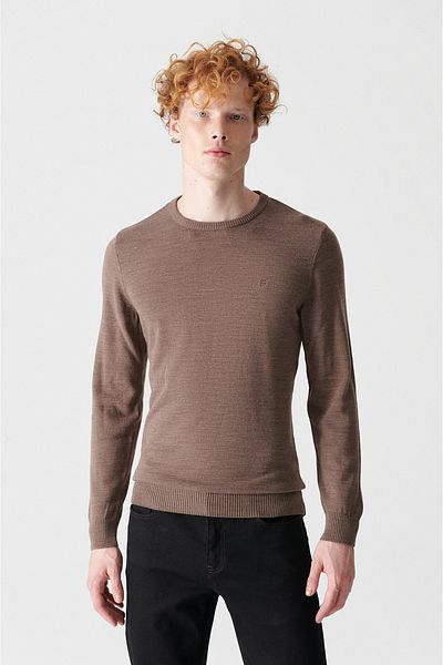 Avva Men's Mink Crew Neck Non-Pilling Knitwear Sweater E 005000
