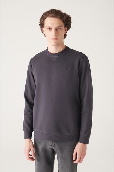 Avva Ανδρικό φούτερ Anthracite Crew Neck Cotton με 2 κλωστές χωρίς ανύψωση E 001200