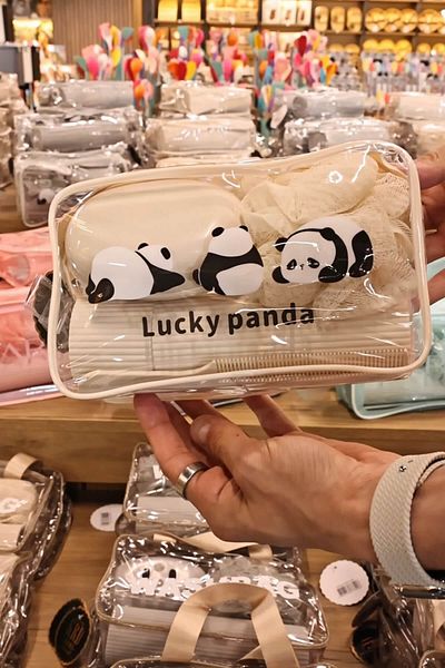 ARVALE Σετ ταξιδιού LUCKY PANDA |   Ντους Λούφα με Διαφανή Organizer Τσάντα, Δοχείο Σαπουνιού, Χτένη