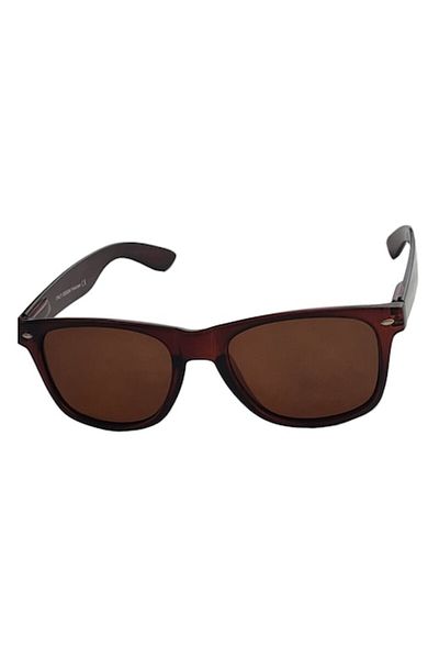 Globalport Retail Unisex Wayfarer sunglasses, polarized UV400, brown plastic frame, brown lenses
